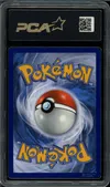 PCA 9 Zorua thumbnail 2