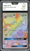 PCA 9.5 Jungko Gx Rainbow thumbnail 1
