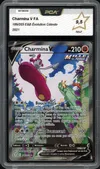 PCA 9.5 Charmina V thumbnail 1