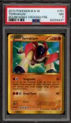 PSA 7 Terrakium Shiny thumbnail 1