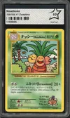 PCA 10 Noadkoko thumbnail 1