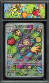 CA 9.5 Capidextre thumbnail 1