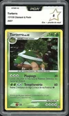 PCA 8 Torterra Holo thumbnail 1