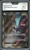 PCA 9.5 Bruyverne V thumbnail 1