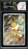 CA 9.5 Evoli thumbnail 1