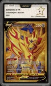 PCA 8 Zamazenta V thumbnail 1