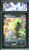 CA 9.5 Tyranitar V thumbnail 1