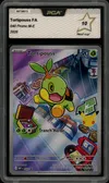 PCA 10 Tortipouss thumbnail 1