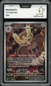 PCA 9 Noarfang thumbnail 1