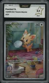 PCA 9.5 Ponchiot thumbnail 1