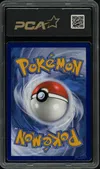 PCA 9.5 Zoroark Ex de N thumbnail 2