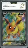 PCA 9.5 Pyroli V thumbnail 1