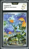 PCA 9.5 Couaneton thumbnail 1