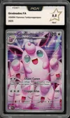 PCA 9.5 Grodoudou thumbnail 1