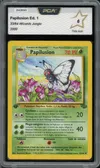 PCA 6 Papilusion thumbnail 1