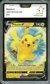 PCA 9 Pikachu V thumbnail 1