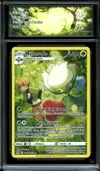 CA 9.5 Roserade thumbnail 1