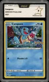 PCA 9 Carapuce Holo thumbnail 1