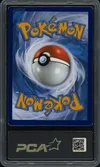 PCA 9.5 Zacian V Union thumbnail 2