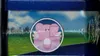 Pokébox Pokémon Go Pikachu thumbnail 5