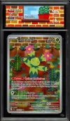 CA 9.5 Maracachi thumbnail 1