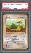 PSA 9 Pidgey thumbnail 1