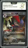 PCA 9.5 Zoroark Ex de N thumbnail 1