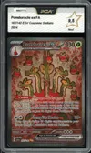PCA 9.5 Pomdorochi Ex thumbnail 1