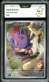 PCA 9.5 Zorua de N thumbnail 1