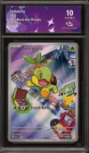 CA 10 Tortipouss thumbnail 1