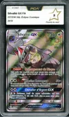 PCA 9 Silvallié Gx thumbnail 1