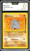 PCA 8 Rhinocorne thumbnail 1