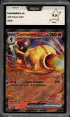 PCA 9.5 Carmadura Ex thumbnail 1