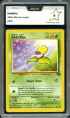 PCA 9 Chétiflor thumbnail 1