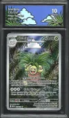 CA 10 Noadkoko thumbnail 1