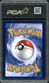 PCA 9.5 Zorua de N thumbnail 2