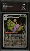 CA 10 Papinox thumbnail 1