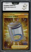 PCA 9.5 Incubateur d'Œufs Gold thumbnail 1