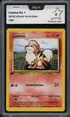 PCA 9 Caninos thumbnail 1