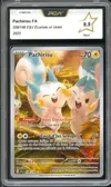 PCA 9.5 Pachirisu thumbnail 1