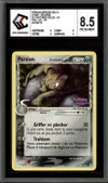 CCC 8.5 Persian Reverse thumbnail 1