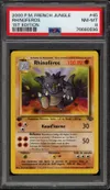 PSA 8 Rhinoféros thumbnail 1