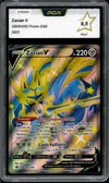 PCA 9.5 Zacian V thumbnail 1