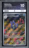 PG 10 Triopikeau thumbnail 1