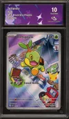 CA 10 Tortipouss thumbnail 1