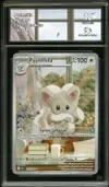 CA 10 Pashmilla thumbnail 1
