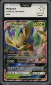 PCA 7 Phyllali Gx thumbnail 1