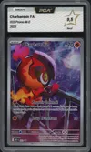 PCA 9.5 Charbambin thumbnail 1