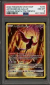 PSA 8 Artikodin de Galar thumbnail 1