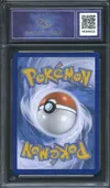 CA 9.5 Zorua de N thumbnail 2